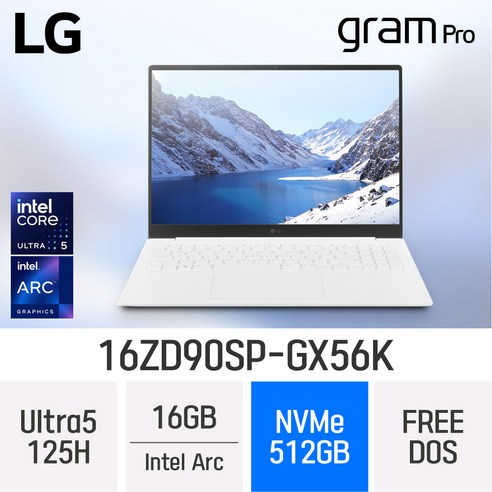 너무좋아 16zd90sp-gx56k 사용 및 추천후기